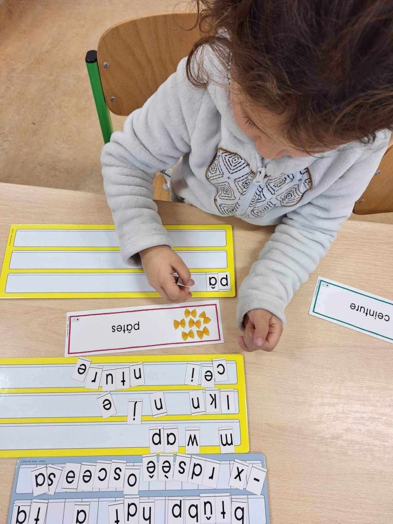 wp-1719562389493423669194507739087